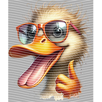 Animal Text Series-AT 560